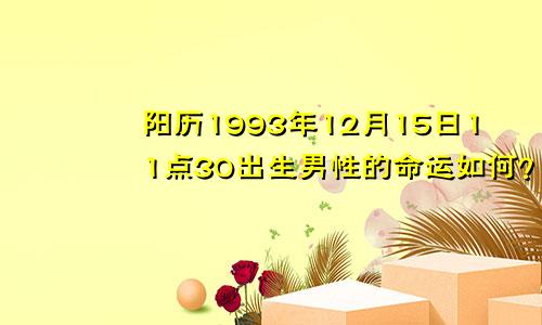 阳历1993年12月15日11点30出生男性的命运如何？