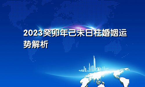 2023癸卯年己未日柱婚姻运势解析