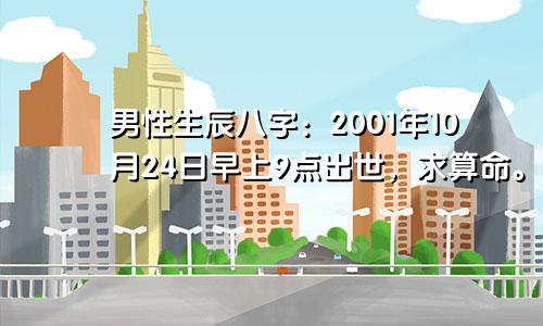 男性生辰八字：2001年10月24日早上9点出世，求算命。