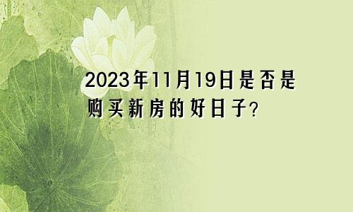 2023年11月19日是否是购买新房的好日子？