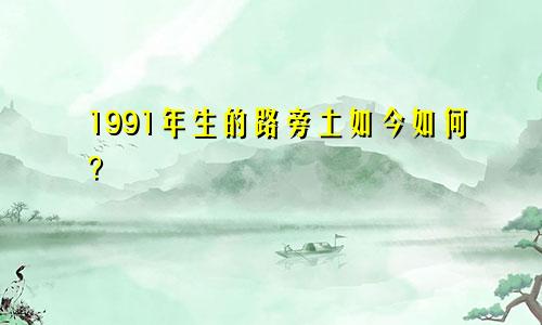 1991年生的路旁土如今如何？