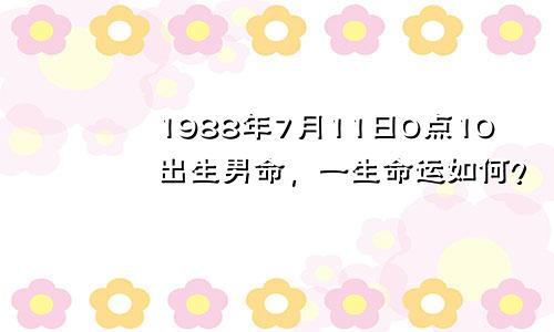 1988年7月11日0点10出生男命，一生命运如何？