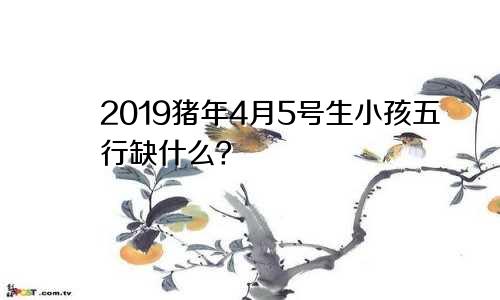 2019猪年4月5号生小孩五行缺什么？