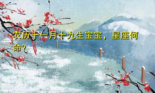 农历十一月十九生宝宝，星座何命？