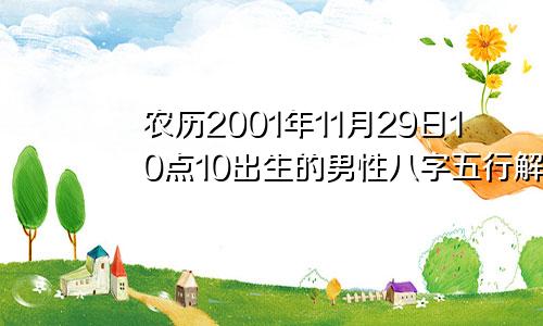 农历2001年11月29日10点10出生的男性八字五行解析