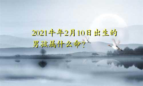 2021牛年2月10日出生的男孩属什么命？