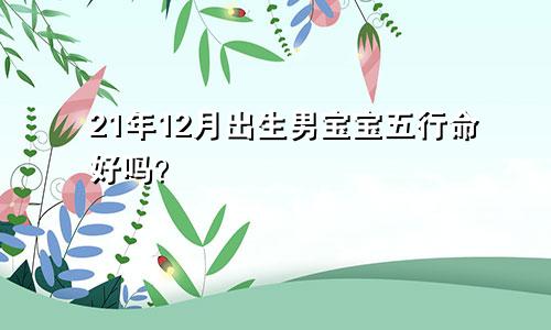 21年12月出生男宝宝五行命好吗？