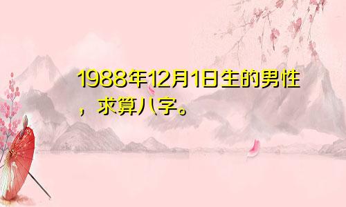 1988年12月1日生的男性，求算八字。