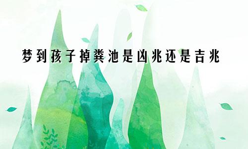 梦到孩子掉粪池是凶兆还是吉兆