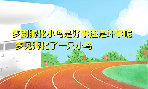 梦到孵化小鸟是好事还是坏事呢 梦见孵化了一只小鸟