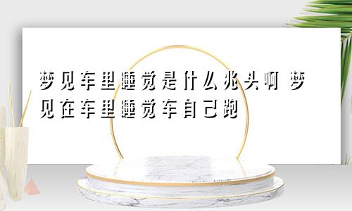 梦见车里睡觉是什么兆头啊 梦见在车里睡觉车自己跑