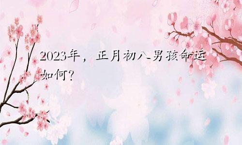 2023年，正月初八男孩命运如何？