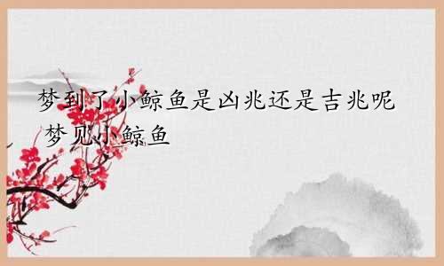 梦到了小鲸鱼是凶兆还是吉兆呢 梦见小鲸鱼