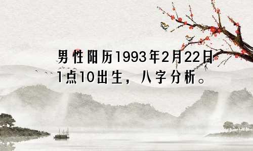 男性阳历1993年2月22日1点10出生，八字分析。