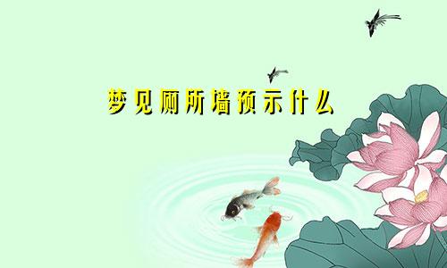 梦见厕所墙预示什么
