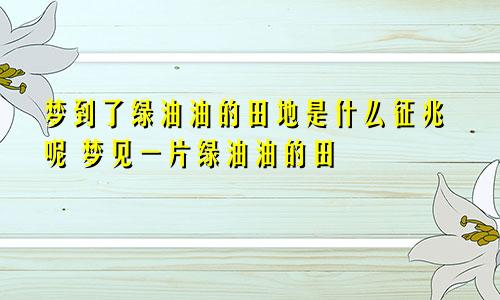 梦到了绿油油的田地是什么征兆呢 梦见一片绿油油的田