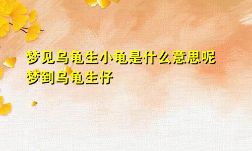 梦见乌龟生小龟是什么意思呢 梦到乌龟生仔