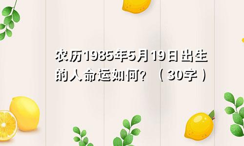 农历1985年5月19日出生的人命运如何？（30字）