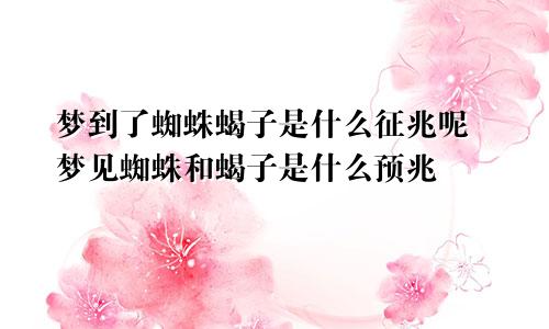梦到了蜘蛛蝎子是什么征兆呢 梦见蜘蛛和蝎子是什么预兆