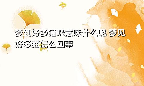 梦到好多猫咪意味什么呢 梦见好多猫怎么回事