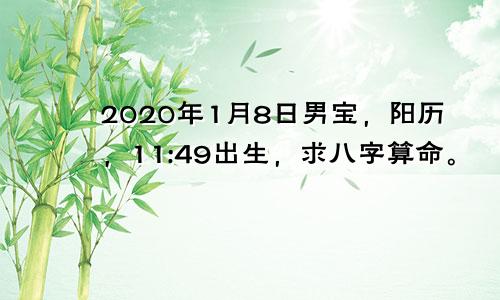 2020年1月8日男宝，阳历，11:49出生，求八字算命。