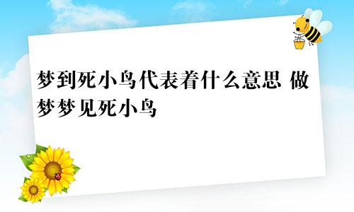 梦到死小鸟代表着什么意思 做梦梦见死小鸟