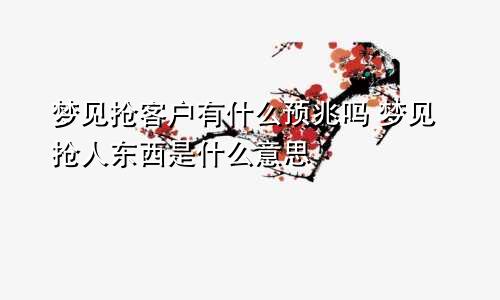 梦见抢客户有什么预兆吗 梦见抢人东西是什么意思