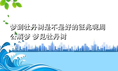 梦到牡丹树是不是好的征兆呢周公解梦 梦见牡丹树