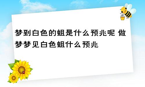 梦到白色的蛆是什么预兆呢 做梦梦见白色蛆什么预兆