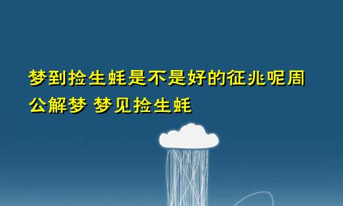 梦到捡生蚝是不是好的征兆呢周公解梦 梦见捡生蚝