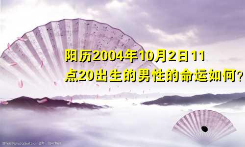 阳历2004年10月2日11点20出生的男性的命运如何？