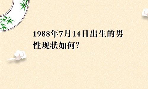 1988年7月14日出生的男性现状如何？