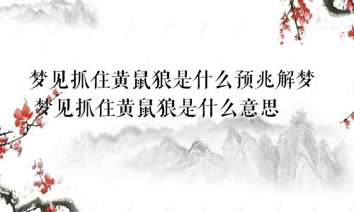 梦见抓住黄鼠狼是什么预兆解梦 梦见抓住黄鼠狼是什么意思