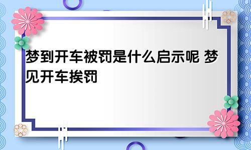 梦到开车被罚是什么启示呢 梦见开车挨罚