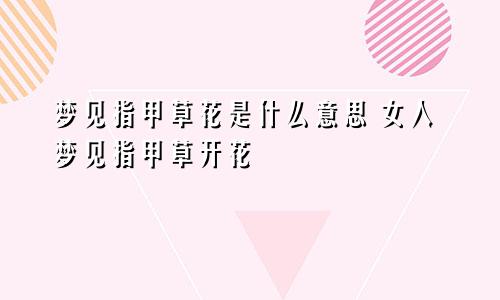 梦见指甲草花是什么意思 女人梦见指甲草开花