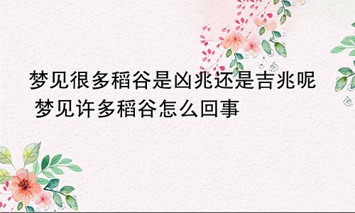 梦见很多稻谷是凶兆还是吉兆呢 梦见许多稻谷怎么回事