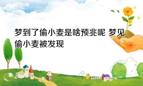 梦到了偷小麦是啥预兆呢 梦见偷小麦被发现