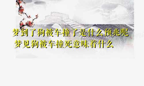 梦到了狗被车撞了是什么预兆呢 梦见狗被车撞死意味着什么