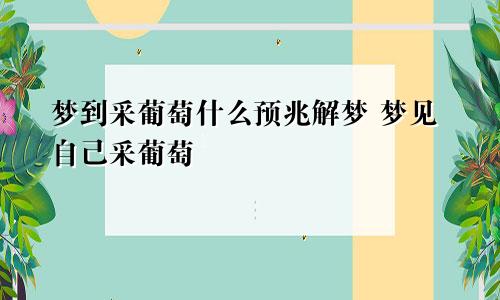 梦到采葡萄什么预兆解梦 梦见自己采葡萄