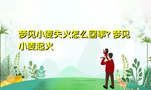 梦见小麦失火怎么回事? 梦见小麦起火