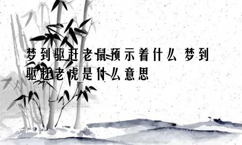 梦到驱赶老鼠预示着什么 梦到驱赶老虎是什么意思