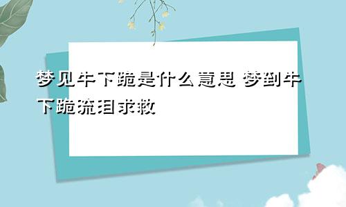 梦见牛下跪是什么意思 梦到牛下跪流泪求救