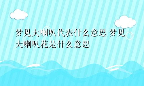 梦见大喇叭代表什么意思 梦见大喇叭花是什么意思