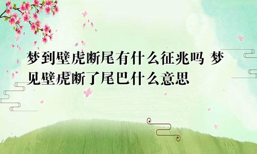 梦到壁虎断尾有什么征兆吗 梦见壁虎断了尾巴什么意思