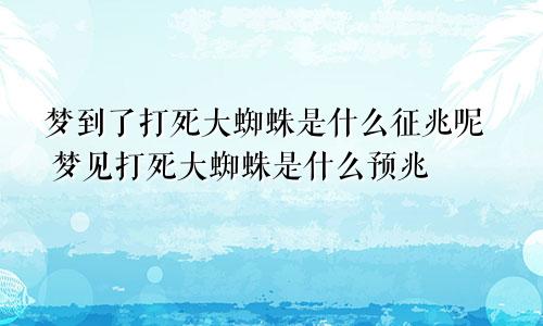 梦到了打死大蜘蛛是什么征兆呢 梦见打死大蜘蛛是什么预兆