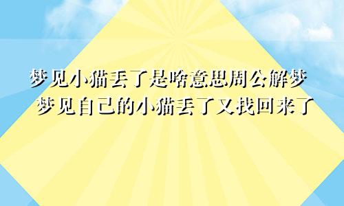 梦见小猫丢了是啥意思周公解梦 梦见自己的小猫丢了又找回来了