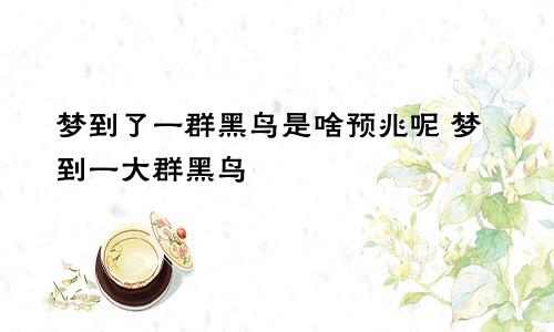 梦到了一群黑鸟是啥预兆呢 梦到一大群黑鸟