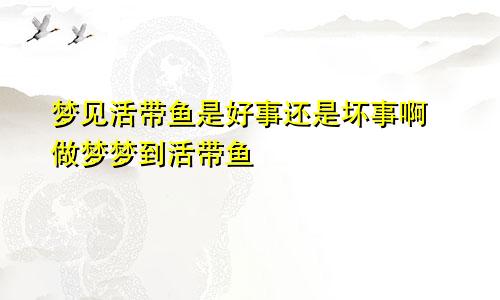 梦见活带鱼是好事还是坏事啊 做梦梦到活带鱼