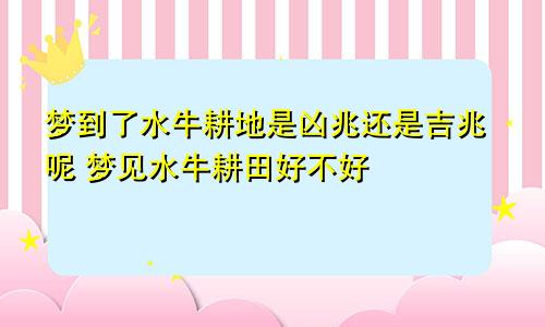 梦到了水牛耕地是凶兆还是吉兆呢 梦见水牛耕田好不好