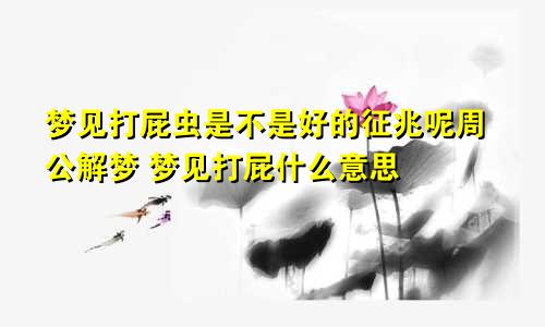 梦见打屁虫是不是好的征兆呢周公解梦 梦见打屁什么意思